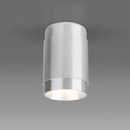 Точечный светильник Elektrostandard DLN109 GU10 a047742, серебро