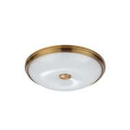 ��������-���������� ���������� Odeon Light Pelow 4956/4, ������