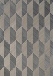 ���� ����������� �� ��������� Thibaut Modern Resource 2 (0,91�7,32) ���������� T10434 (�����)
