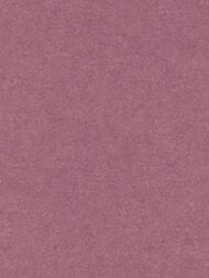 ���� ��������� �� ��������� Erismann Gentle ER12207-06  (1,06�10,05) ���������� (���.)