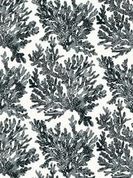 Обои бумажные Thibaut Tropics (0,69х8,22) черные T10123 (рулон)