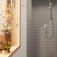 ��������� ��� ���� Hansgrohe Rebris E 72668000 �������������, ������������, ����