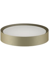 �������� Fantini Young 96P67669 ����������, ����: Matt British Gold PVD