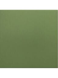 ��������������� ������ EQUIPE RIVOLI GREEN (200�200) ������� 30716 (��.�.)