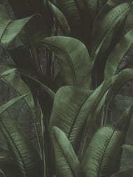 Обои виниловые на флизелине Rasch Back to Nature (0.53x10.05) листья, зеленые 416237 (рул.)