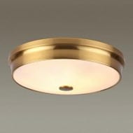 ���������� ���������� Odeon Light 4824/4C, ������
