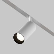 �������� ���������� Maytoni Focus Led Exility (����� ���) TR032-2-12W4K-S-W 4000K 12�� 24�, IP20, �����