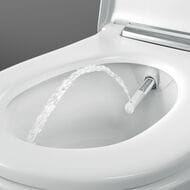 ������-���� GEBERIT AquaClean Sela ���������, ������ �����   146.224.11.1