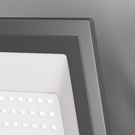 ��������� Maytoni Flood (����) FL001-L100B6K, 6500� 100�� IP 65, ������