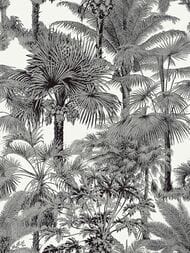 Обои бумажные Thibaut Tropics (0,69х8,22) черные T10102 (рулон)