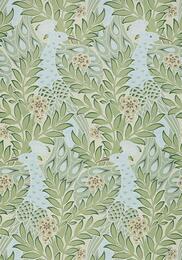 ���� �������� Thibaut Paramount (0,69�8,22) ������� T2922 (�����)