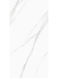��������������� ������ Delacora ���� (600x1200) D120239M (��.�)