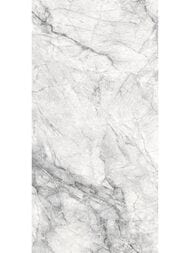 ��������������� ������ Delacora �������� (300x600) D30013M (��.�)