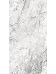 ��������������� ������ Delacora �������� (300x600) D30013M (��.�)