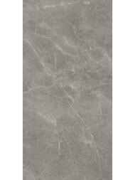 Керамогранитная плитка Atlas Concorde Marvel Grey Fleury Matt (600х1200) серая, A21F (кв.м.)
