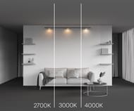 �������� ���������� Maytoni Zon (���) TR189-1-12W2.7K-BW Levity 2700� 12�� 100�, IP20, ������