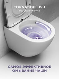 ������ ��������� Abelsberg Acrade TornadoFlush ARC60801WH � �������� ���������, ����� ������