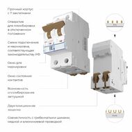 Автоматический выключатель 2P 10 A C 4,5 кА Werkel W902P104