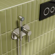 Смеситель с гигиеническим душем WasserKRAFT Wern 4238 встраиваемый, никель