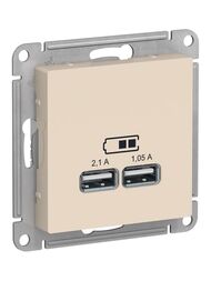 ������� Systeme Electric ATLASDESIGN USB 5� 1 ���� x 2,1� 2 ����� � 1,05� �������� ������� ATN000233