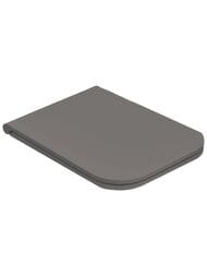 Сиденье для унитаза Globo Stone ST022AT с микролифтом, быстросъмное, цвет: agata