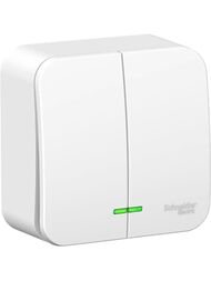 Выключатель Systeme Electric BLANCA 2-клавишный наруж. сх.5 подсв. из.пл. 10А 250В белый BLNVA105111