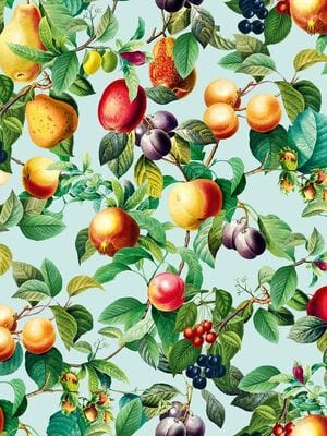 ���� ��������� �� ��������� Marburg Gloockler Pompoos Provence 35633 (0,53�10,05) ������������ (���)