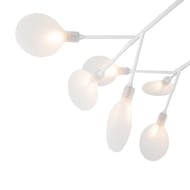 Потолочный светильник Freya Florencia (Флоренсиа) FR5049CL-27W2, IP20,белый — изображение 2