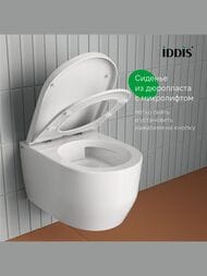����������� � ��������� �������� IDDIS Basic ������� � �����������, ������� ����� BASAI01i73
