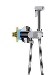 Набор с гигиеническим душем Aquatek Бетта AQ1023CR встраиваемый, 1 отв., однозахватный, цвет: хром
