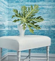 ���� ������������ Thibaut Paramount Modern Resource (0,69�8,22) ������� T441 (�����)