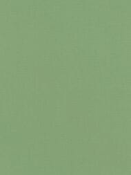 Обои виниловые на флизелине Rasch Natural Colors (0,53х10,05) зеленые 537918 (рул.)