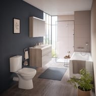 ������-������� NORM Fit with Bidet (355�650�780) � ��������,�����. ����.,� ����. ���� 9844B099-7203