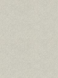 Обои виниловые на флизелине Rasch Gentle Elegance (1,06x10,05) моноколор, серые 959673 (рул.)