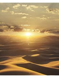 ����� Marburg Dune 32545 (2,12�2,70) ������, ������� (���.)