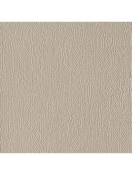 ������� Mutina Phenomenon (250�250) ���������, ����� TYPWI19 (��.)