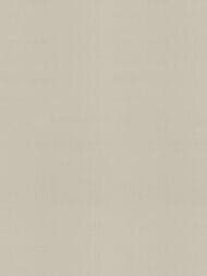 ���� ����������� Armani / Casa Precious Fibers 2 (0,87�1,00) ���������, ������� 9093 GA4 (���.�.)
