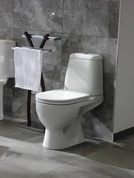 ������ ������� Sanita Luxe MAX Comfort (615x390x745) ������� �� ����������, ��������� WC.CC/Max/2-DM/WHT.G/S1