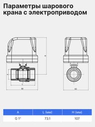 ������� ���� ARROWHEAD (PN40, DN 1") � ������������� ���������������