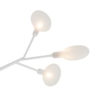���������� ���������� Freya Florencia (���������) FR5049CL-36W1, IP20,�����