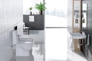 ������ ������� Sanita Luxe FEST Comfort (344x618x800) ������� �� ����������, ��������� WC.CC/Fest/2-DM/WHT.G/S1