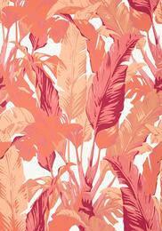 ���� ����������� �� ��������� Thibaut Tropics (0,69�8,22) ������� T10130 (�����)