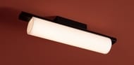 Потолочный светильник Freya Even (Эвен) FR5625CL-L20B, 80 Ra, 220/240 V, IP20,черный