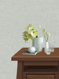 ���� ��������� �� ��������� Erismann Gentle ER12207-24 (1,06�10,05) ����� (���.)