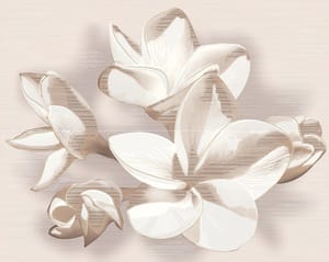 ����� AZORI Amati Plumeria Beige (402�505) ������� (��.)