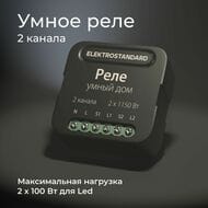 Умное двухканальное реле Elektrostandard a059326, черный