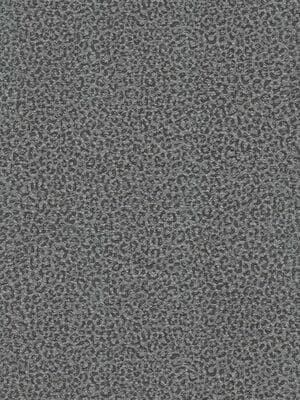 ���� ��������� �� ��������� ROBERTO CAVALLI Home 8 (1,06�10,05) �������, ����� 19019 (���.)