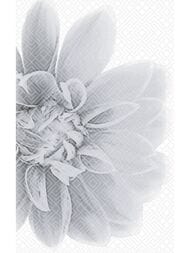 ����� Gracia Ceramica ������� ������ ����� 03 (250�400) ����� 010301001886 (��.)