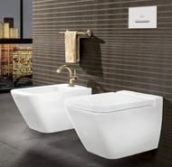 ������ ��������� Villeroy & Boch Finion PLUS 4664R0R1 (375�560) ������������, ceramicplus