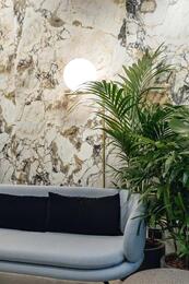 ��������������� ������ Rex Etoile de Rex Magnum Symphonie Matte (600�1200�6) �����, 761771 (��.�.)